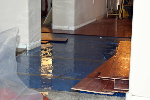 Professional Burst Pipe Cleanup technician working in Greenwood, ME